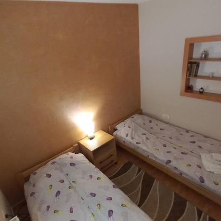Apartman Ivona Ovcar Banja Luaran gambar